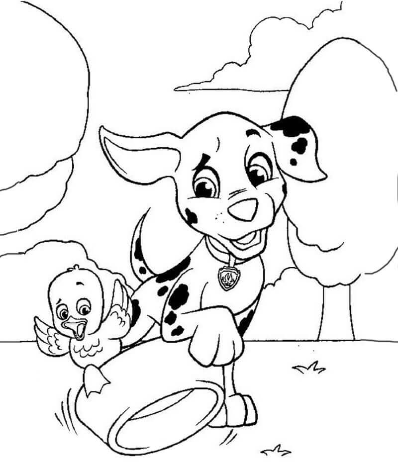 Dibujo de Marshall y Fuzzy Jugando Juego para Colorear