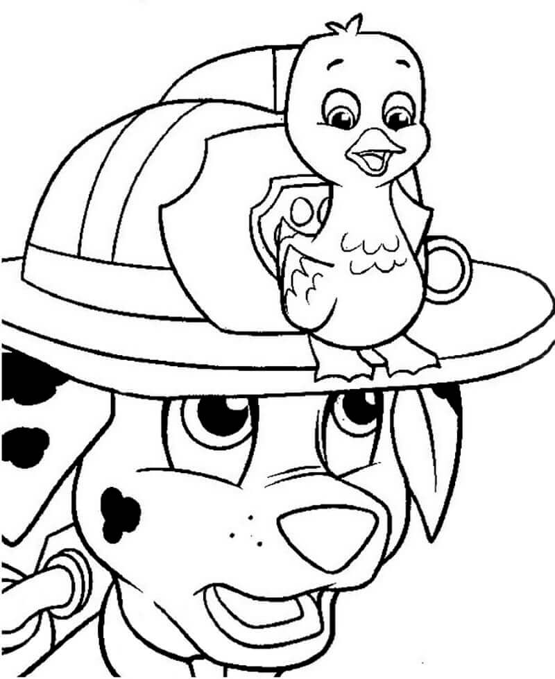 Dibujo de Marshall y Fuzzy para Colorear