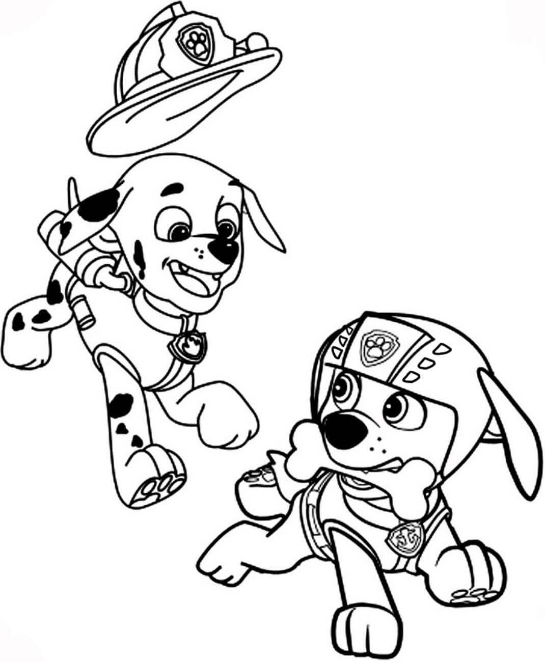 Dibujo de Marshall y Zuma para Colorear