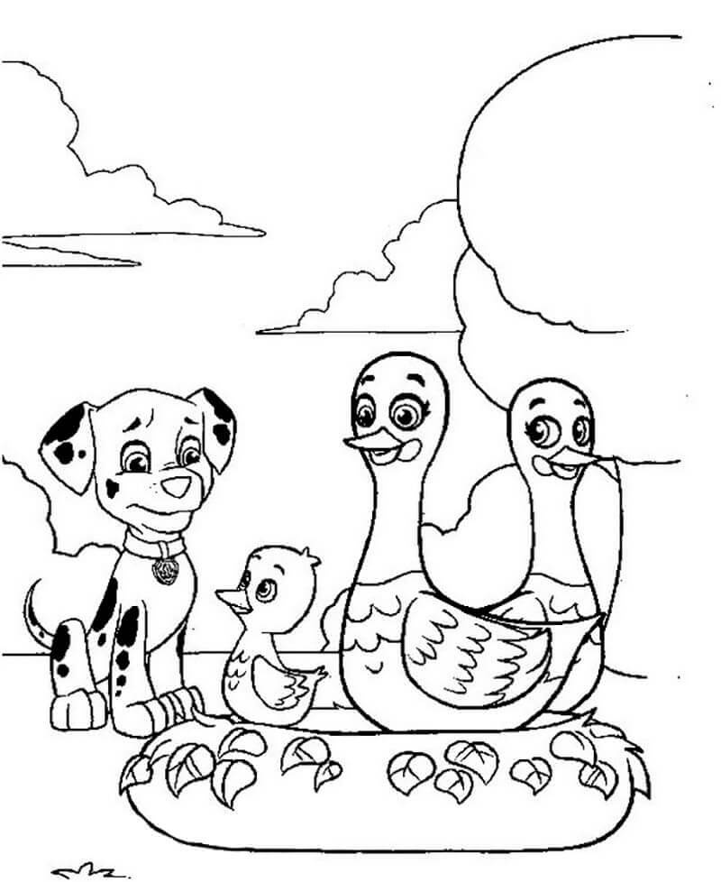 Dibujo de Patrulla Canina Marshall con Pato para Colorear