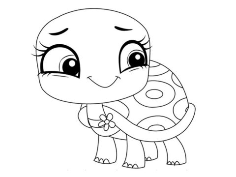 Dibujo de Shellstein de Oliva para Colorear