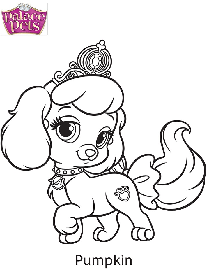 Dibujo de Calabaza de Palace Pets para Colorear
