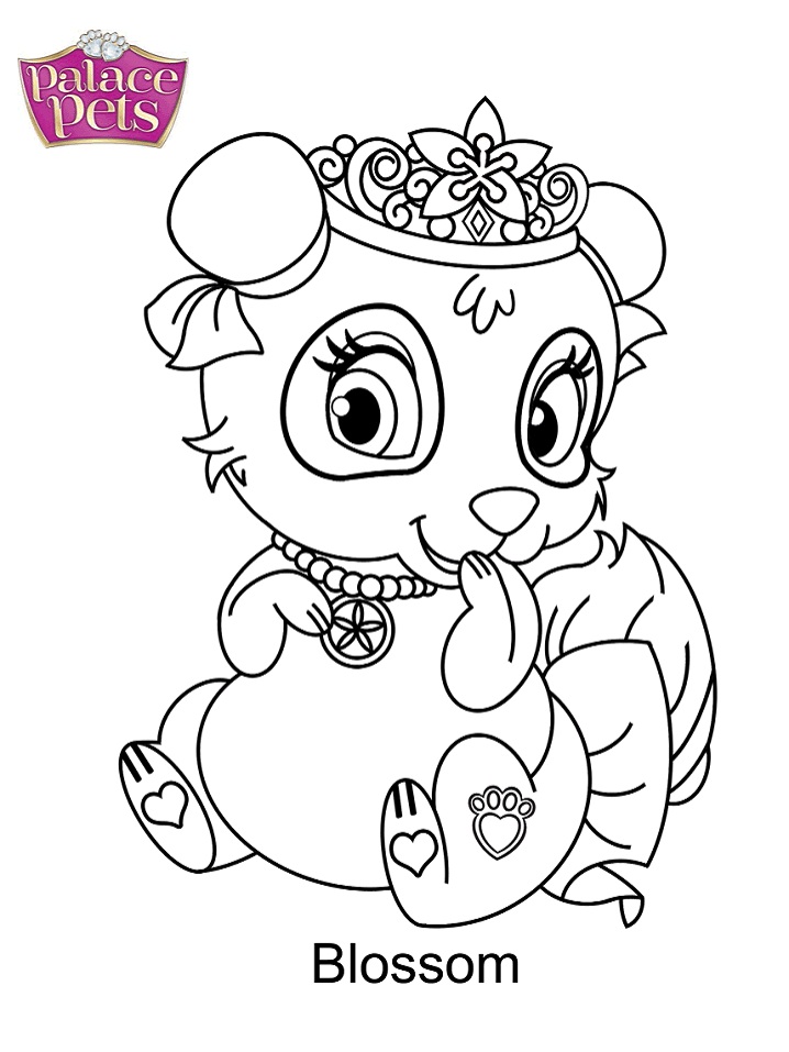 Dibujo de Palace Pets Blossom para Colorear