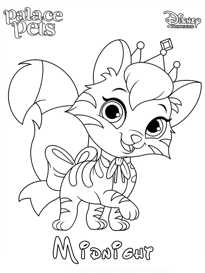 Dibujo de Princesa de Medianoche para Colorear