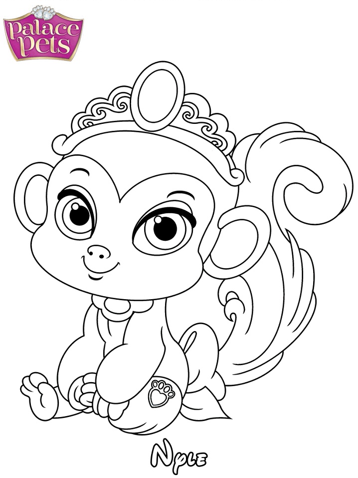 Dibujo de Princesa Nyle para Colorear
