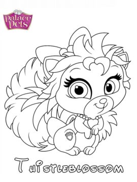 Dibujo de Princesa Thistleblossom para Colorear