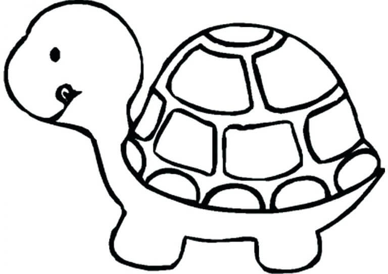 Dibujo de Linda Tortuga Mascota para Colorear