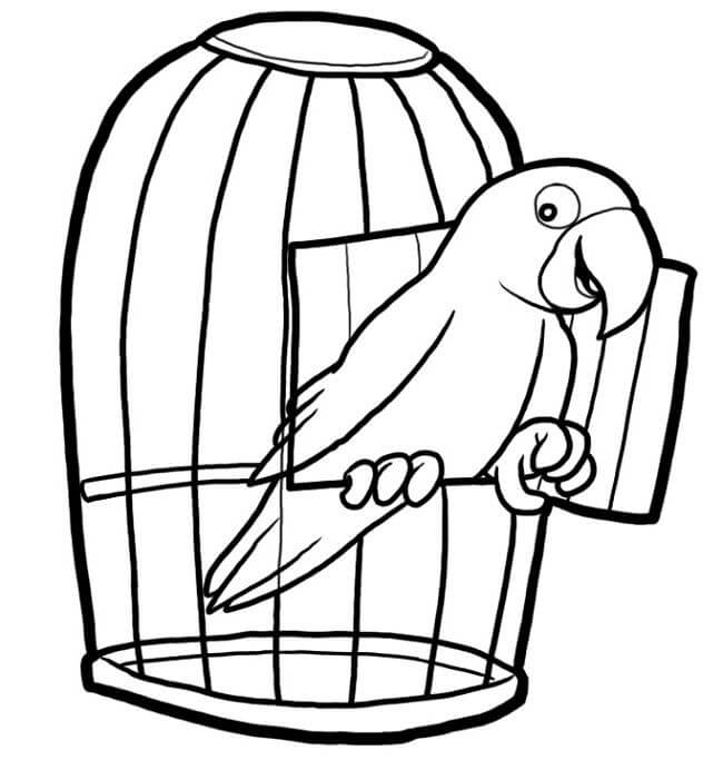 Dibujo de Loro de Mascotasa para Colorear
