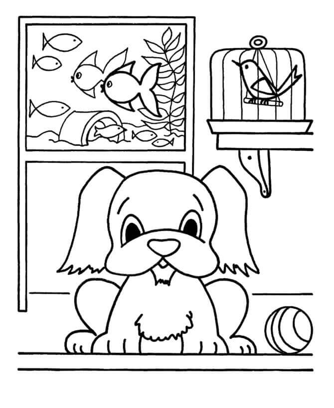 Dibujo de Mascotas de la Casa para Colorear