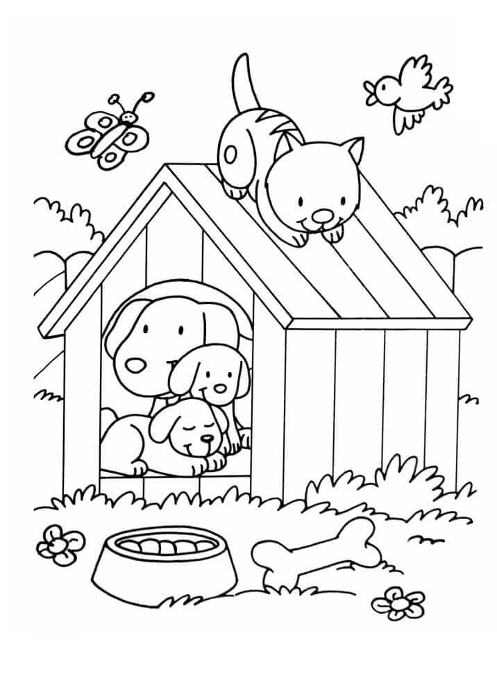 Dibujo de Mascotas en Casa para Colorear