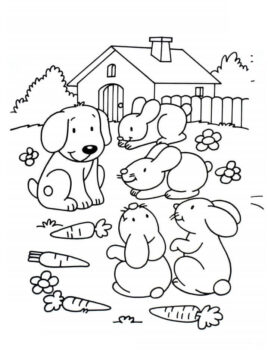 Dibujo de Mascotas Perros y Conejos para Colorear