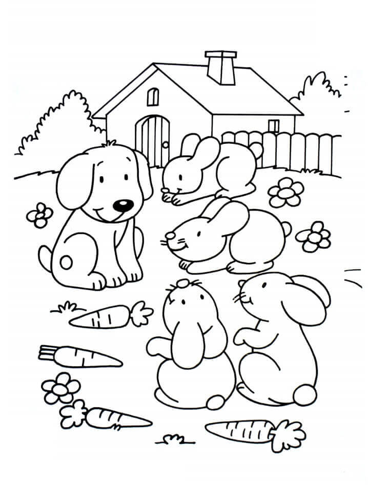 Dibujo de Mascotas Perros y Conejos para Colorear