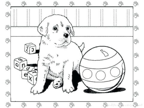 Dibujo de Perro Mascota y Su Juguete para Colorear