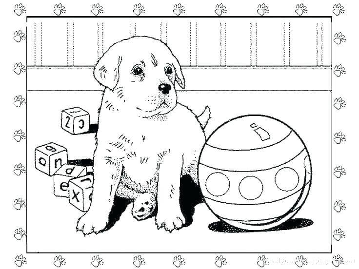 Dibujo de Perro Mascota y Su Juguete para Colorear