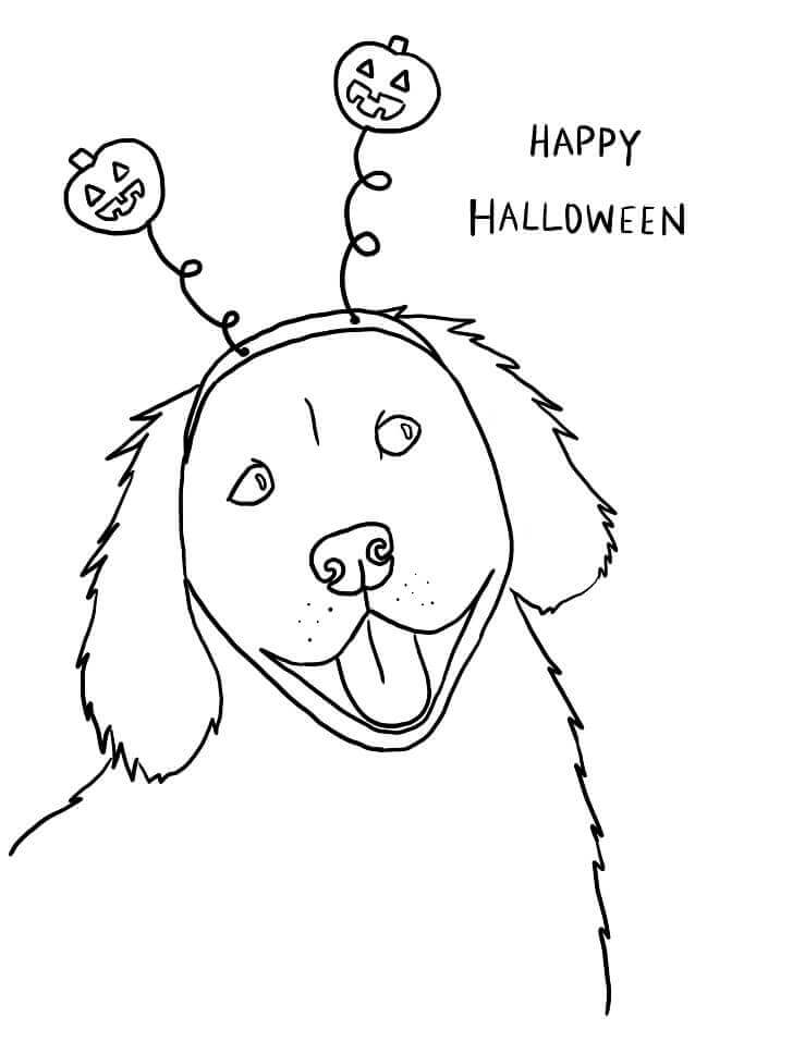 Dibujo de Precioso Perro Mascota para Colorear