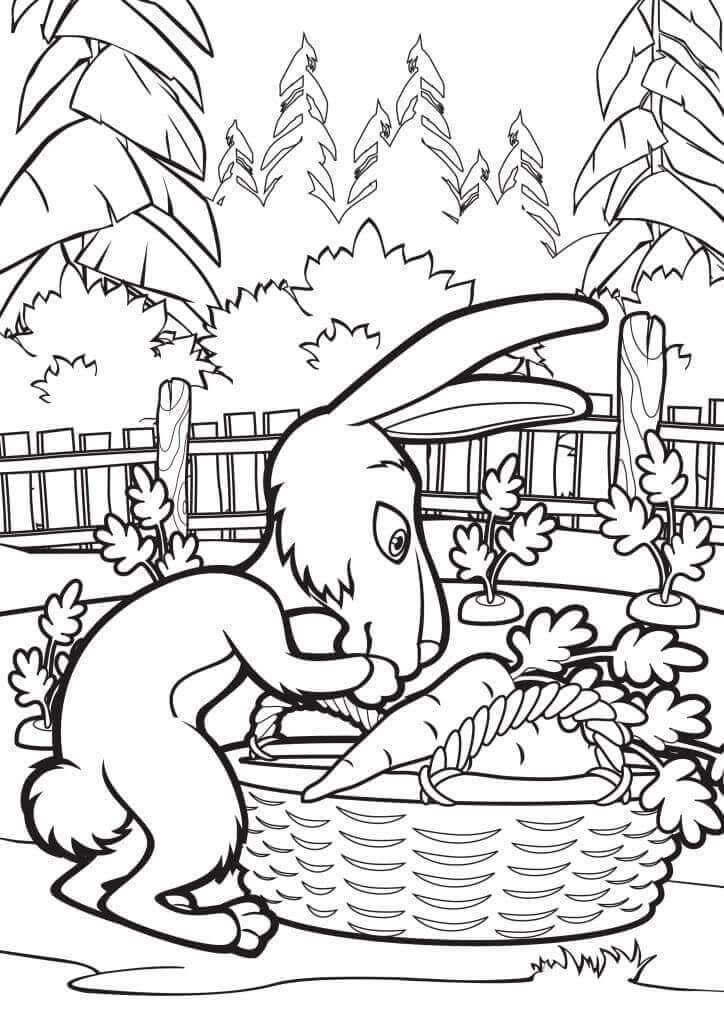 Dibujo de Conejo en Masha para Colorear