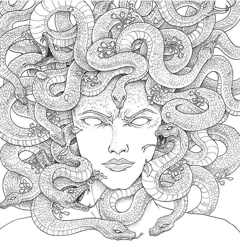 Dibujo de Cara de Medusa para Colorear