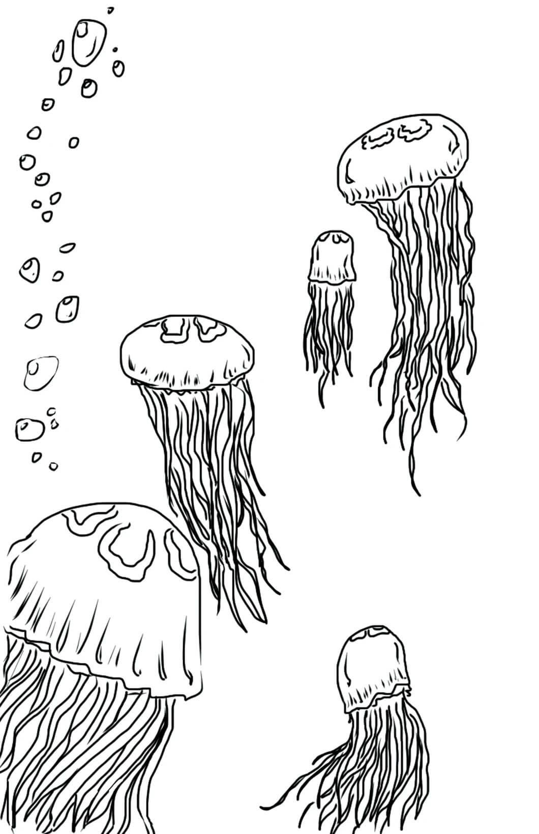 Dibujo de Cinco Medusas para Colorear