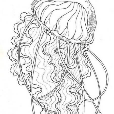 Dibujo de Gran Medusa para Colorear