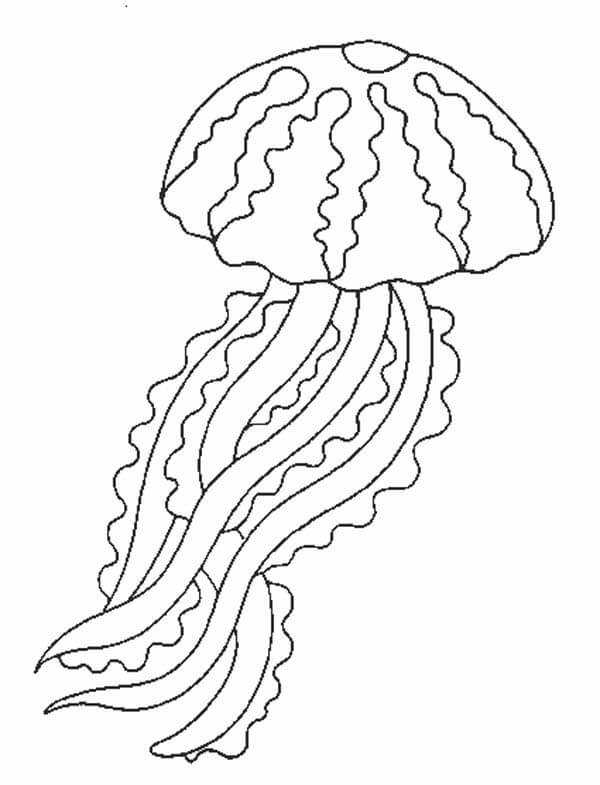 Dibujo de Jellyfish Imprimible para Colorear