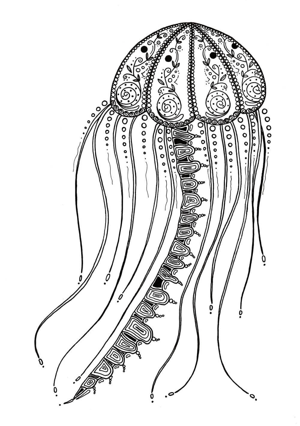 Dibujo de Medusa Delicada para Adultos para Colorear