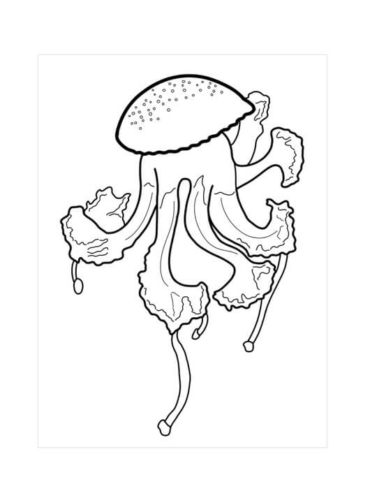 Dibujo de Medusa Dulce para Colorear