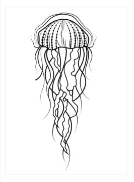 Dibujo de Medusa Luna para Colorear