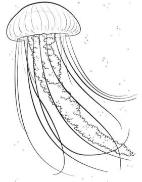 Dibujo de Medusa Perfecta para Colorear
