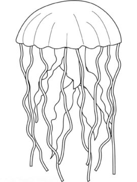 Dibujo de Medusas Impresionantes para Colorear