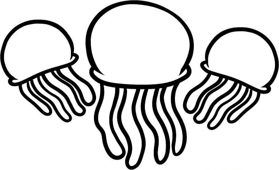 Dibujo de Tres Medusas para Colorear