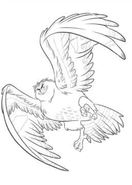 Dibujo de Pájaro de Maui para Colorear