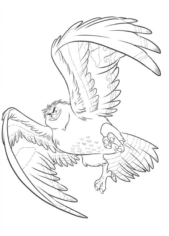 Dibujo de Pájaro de Maui para Colorear