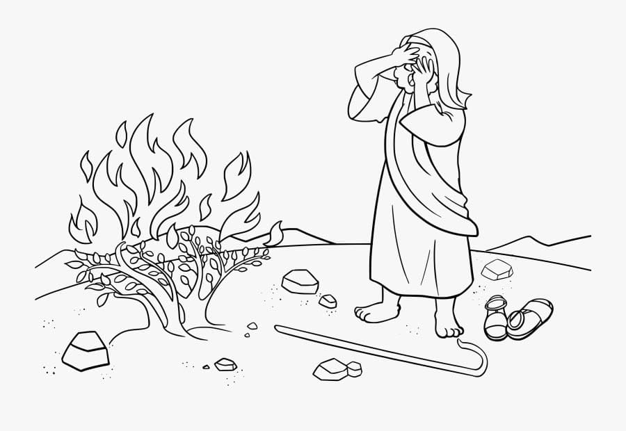 Dibujo de Esquema de Moisés para Colorear