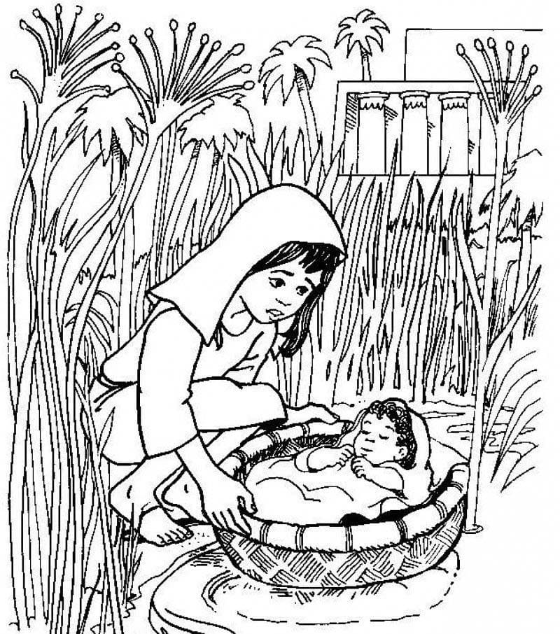 Dibujo de Imagen del bebé Moisés para Colorear