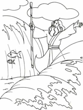 Dibujo de Moisés Feliz para Colorear