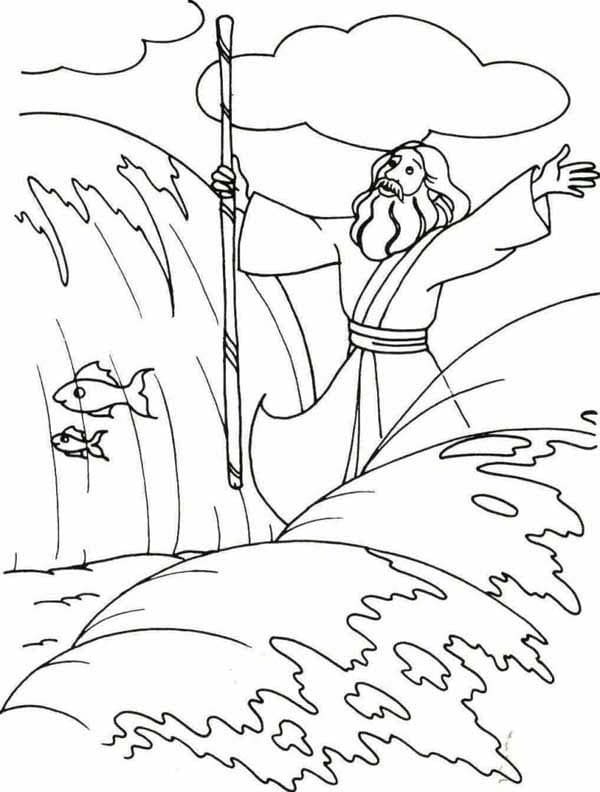 Dibujo de Moisés Feliz para Colorear