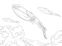 Dibujo de Calamar Nadando para Colorear