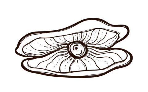 Dibujo de Perlas de Moluscos para Colorear