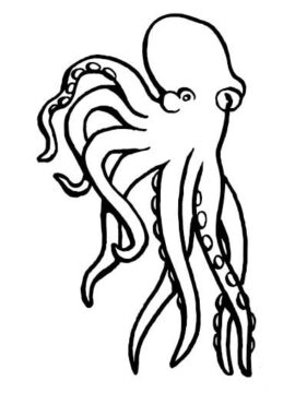 Dibujo de Pulpo Molusco para Colorear