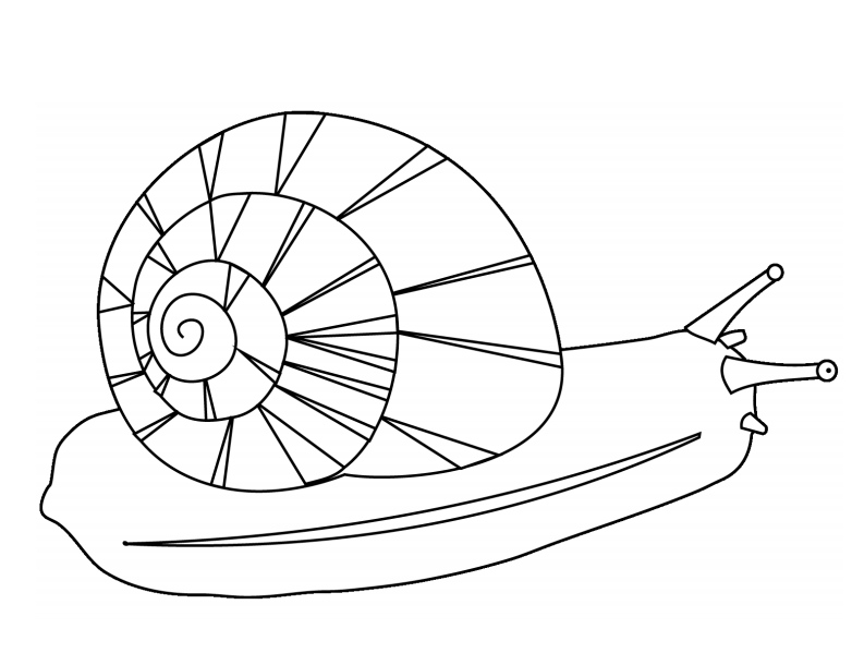 Dibujo de Un Caracol para Colorear