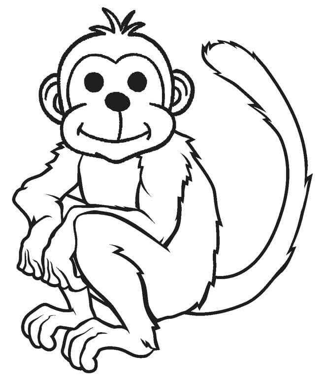 Dibujo de Dibujar Mono Sentado para Colorear