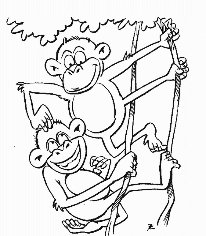 Dibujo de Divertidos Dos Monos con Rama de árbol para Colorear