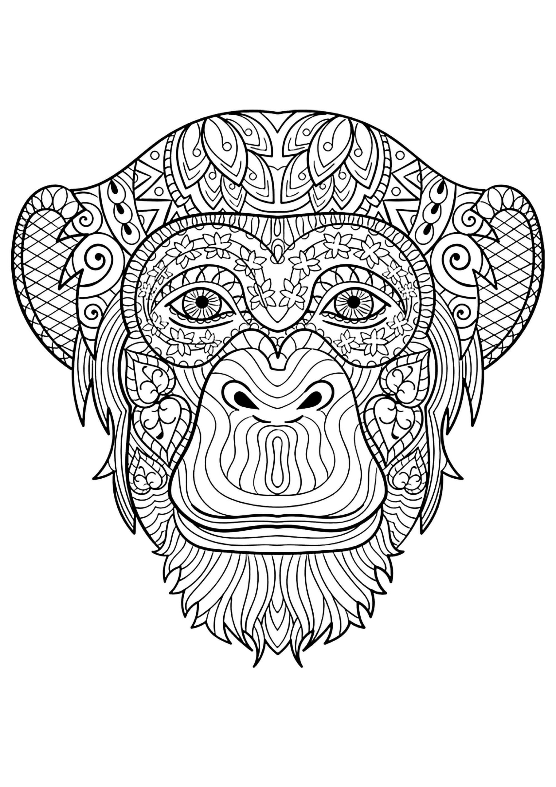 Dibujo de Mandala de Cabeza de Mono para Colorear