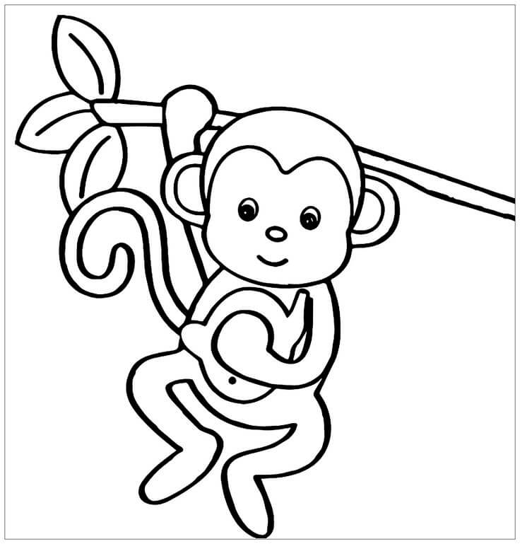 Dibujo de Mono básico para Colorear