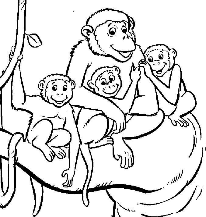 Dibujo de Mono Familiar para Colorear