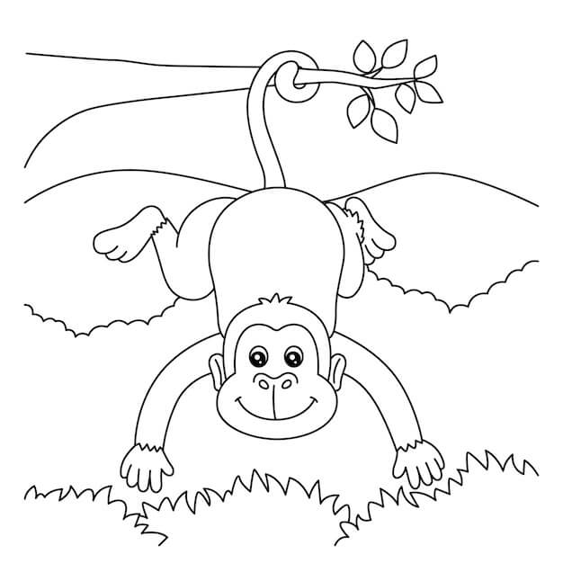 Dibujo de Mono Normal para Colorear