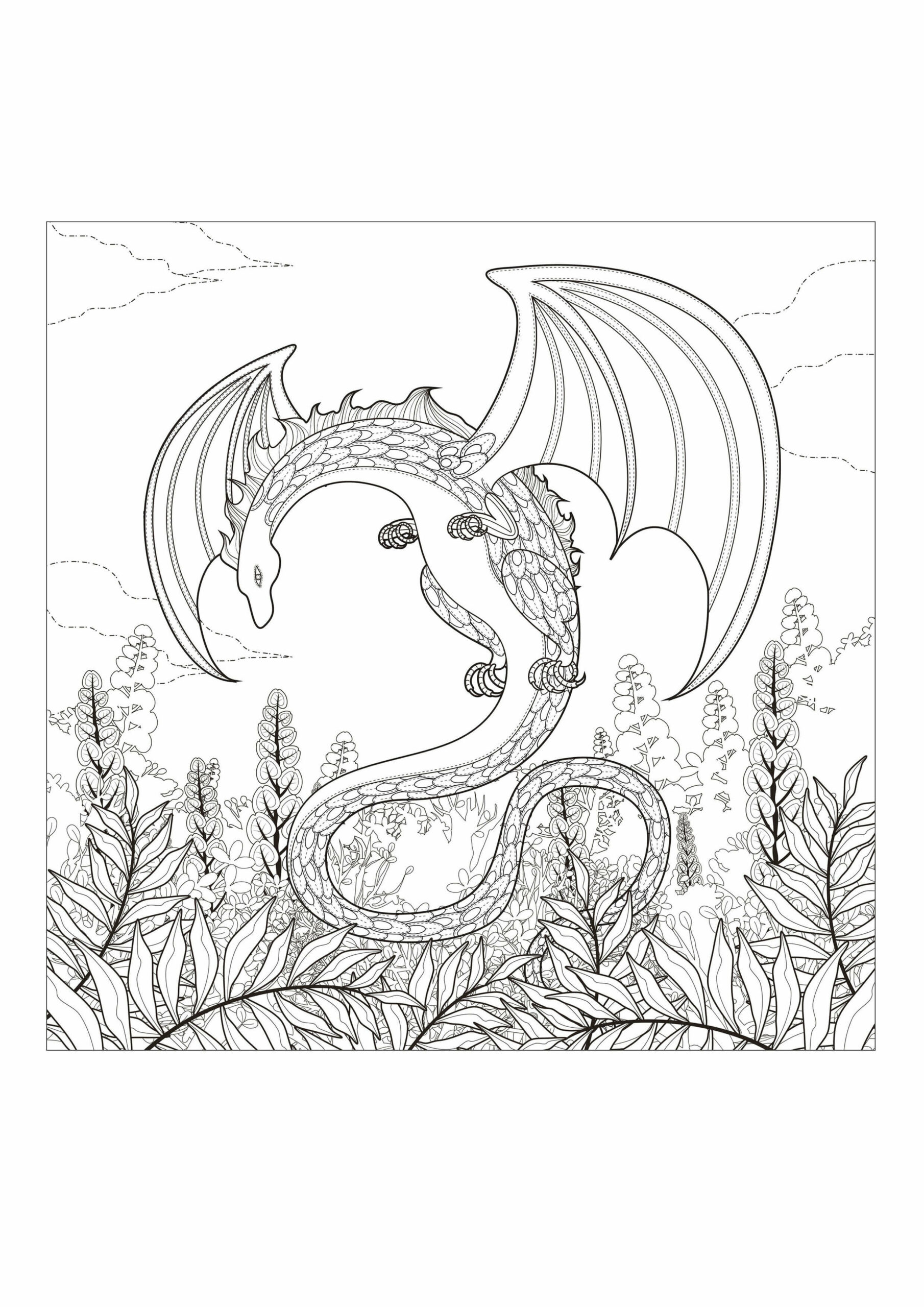 Dibujo de Monstruo dragón para Colorear