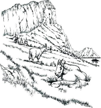 Dibujo de Paisaje de las montañas para Colorear