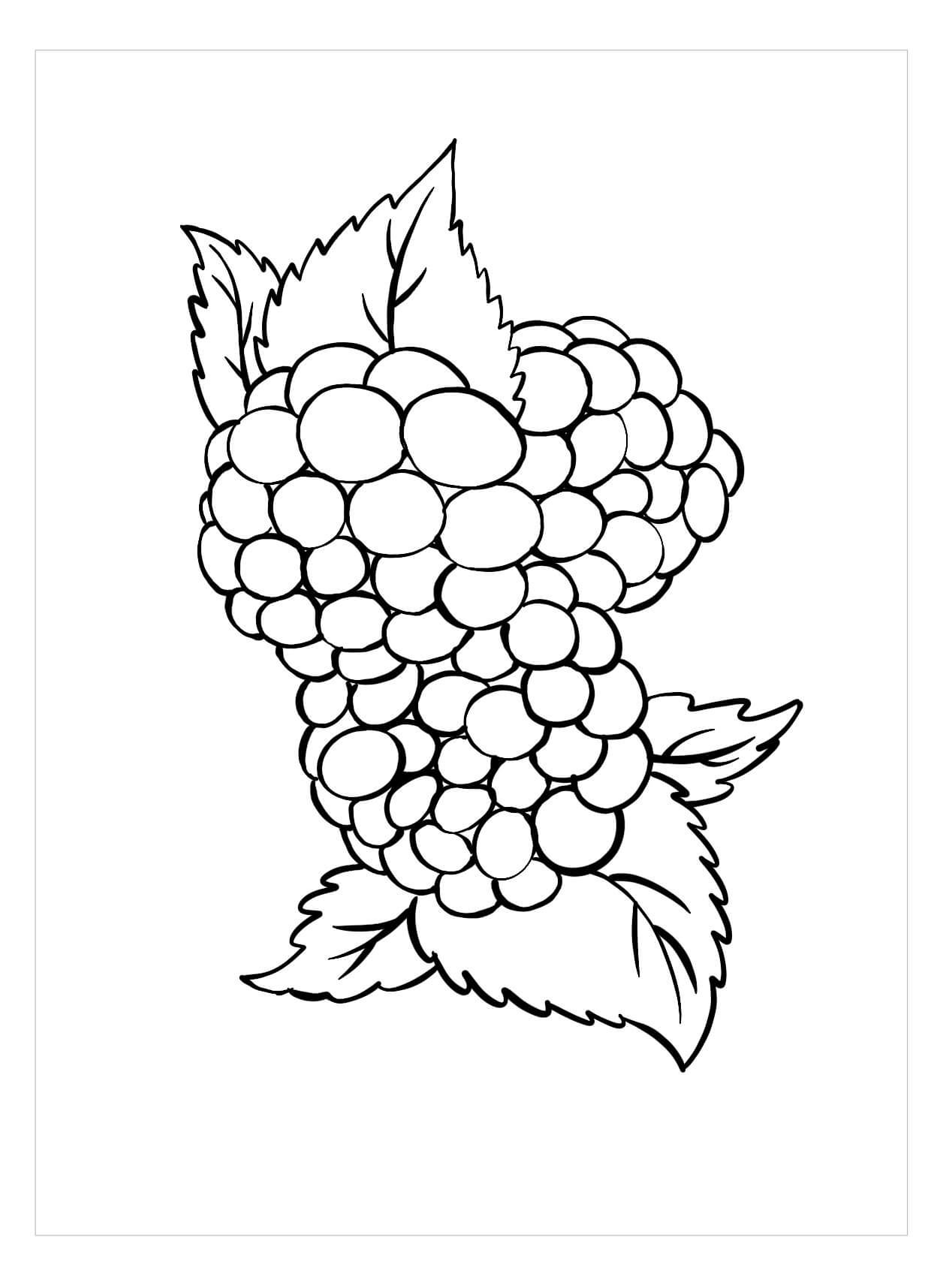Dibujo de Adorable Mora para Colorear