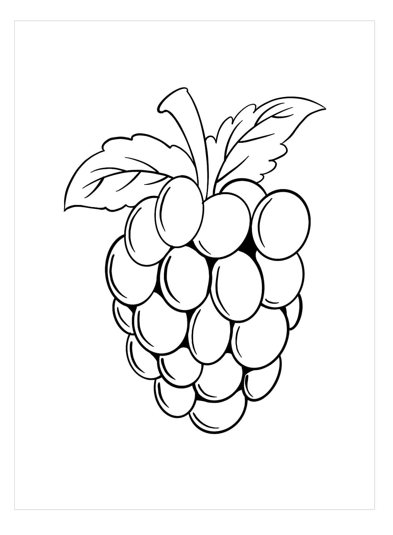 Dibujo de Blackberry Simple para Colorear